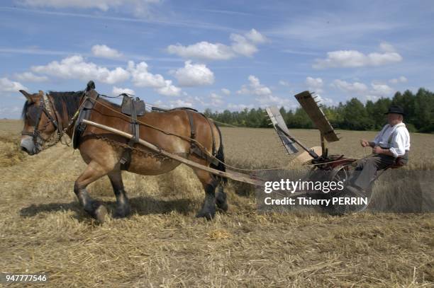 FETE DES MOISSON A L'ANCIENNE TOURNANT CHAQUE ANNE DE VILLAGE EN VILLAGE, ICI RENE ARCHAMBEAU MAINE UNE FAUCHEUSE A TRACTION ANIMALE, AUBE FRANCE...