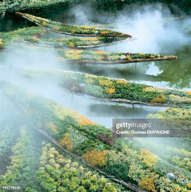 REFLEXION DANS UNE FLAQUE D'EAU, CONCEPT YVES ROCHER, FESTIVAL DES JARDINS, CHAUMONT SUR LOIRE, FRANCE.