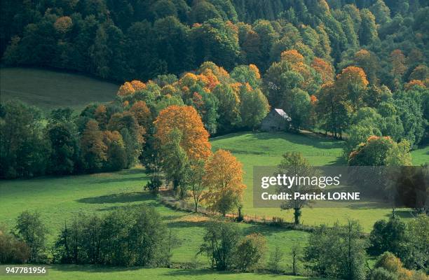 PAYSAGE AUTOMNAL, CANTAL, FRANCE.