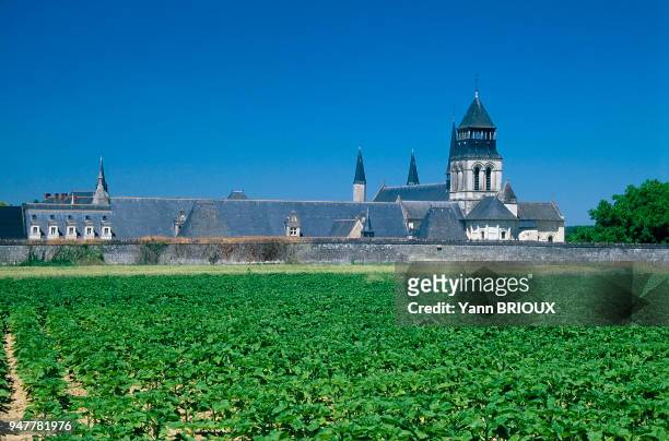 Fondée en 1101 par Robert d'Arbrissel, l'Abbaye de Fontevraud était, avant la Révolution, le monastère le plus riche et le plus important de France....