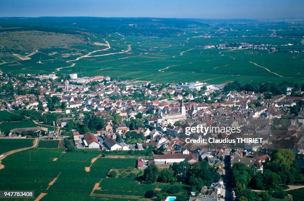 NUITS SAINT GEORGES, COTE-D'OR, FRANCE.