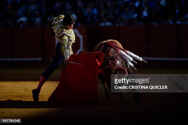 French matador Sebastian Castella performs a pass with muleta on a bull during a bullfight at the Maestranza bullring in Sevilla on April 17, 2018.