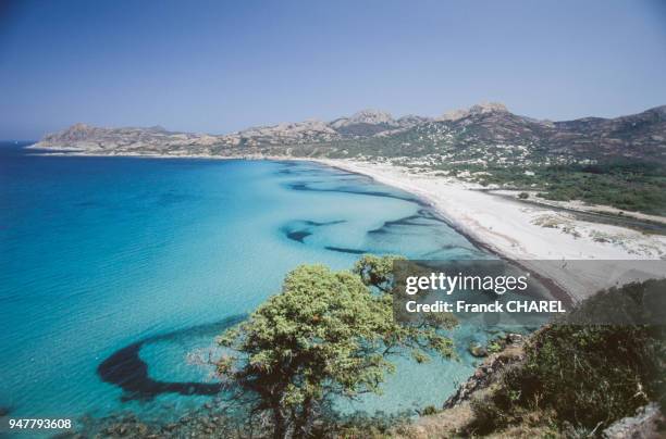 La plage de l'Ostriconi, en Corse-du-Sud, en juin 2003, France.