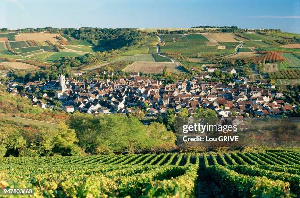 IRANCY, YONNE, FRANCE.