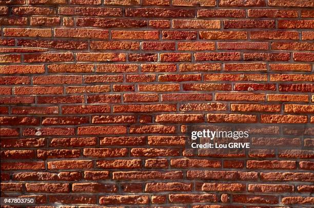 BRIQUE, TOULOUSE, HAUTE-GARONNE, FRANCE.