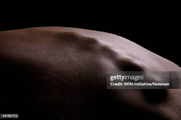 close-up of a man's spine - body part black background stock pictures, royalty-free photos & images