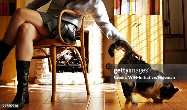 low section view of a woman stroking a cat - fashion woman floor cross legged stock pictures, royalty-free photos & images