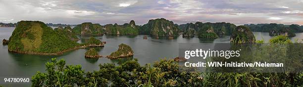 rock formations in the sea, halong bay, vietnam - baie d'halong photos et images de collection