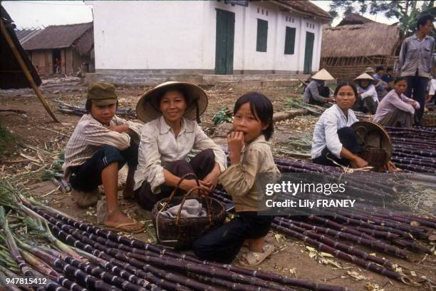 Femme avec ses enfants vendant de la canne à sucre sur un marché à la campagne Vietnam.