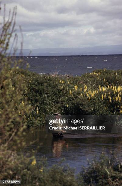 Pêcheurs dans le lac Taupo, Nouvelle-Zélande.