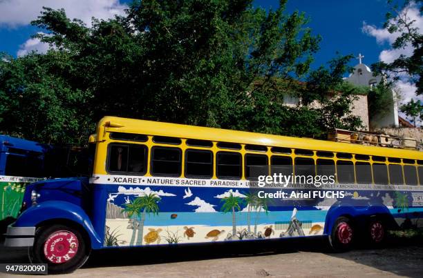 Among the two types of buses in Mexico, the one used to go from city to city is taken at the terminal. City buses are rather hard to control for...