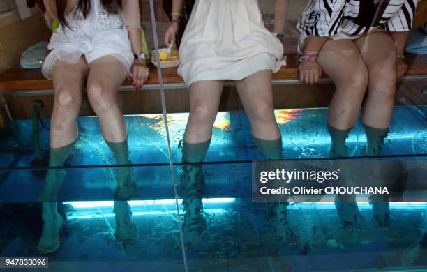 Trois touristes coréennes essaient le bain de pieds therapeutique connu sous le nom de 'fish pedicure' ou 'fish therapie' dans un spa specialisé le...