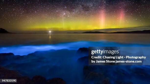 aurora australis over blue bioluminescence - bioluminescência imagens e fotografias de stock