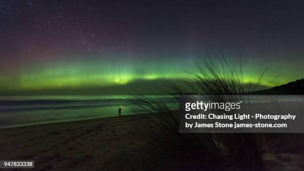lone figure on a beach with a beautiful aurora overhead. - aurora australis stock pictures, royalty-free photos & images