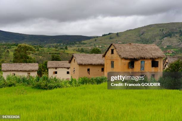 Paysage entre Ambositra et Ranomafana en février 2013, Madagascar.