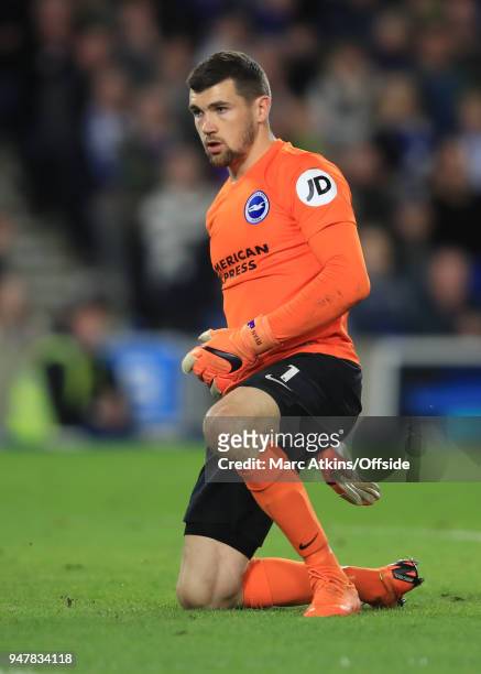 Matthew Ryan of Brighton and Hove Albion during the Premier League match between Brighton and Hove Albion and Tottenham Hotspur at Amex Stadium on...