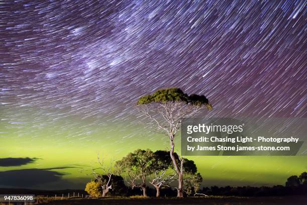 star trails over a bright green arc of aurora with an illuminated tree in the foreground - aurora australis stock pictures, royalty-free photos & images