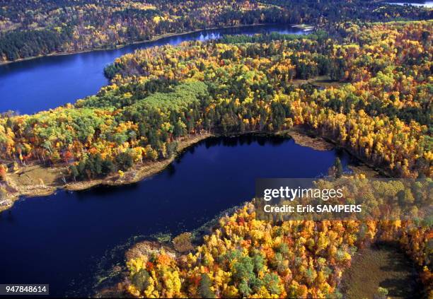 Vue aérienne du fleuve Mississippi et du lac Bemidji en automne, circa 2000, Minnesota, Etats Unis.