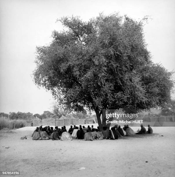 Assemblée coutumière sous l'arbre à palabre au Tchad vers 1950-1953.