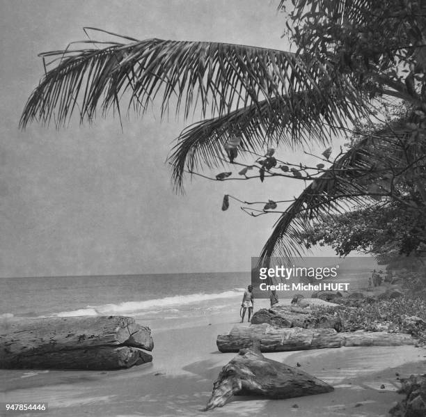 Troncs d'arbre sur une plage au bord de l'océan Atlantique au Gabon, circa 1950.