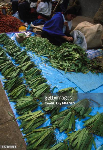 Etal d'une marchande de légume indienne sur un marché, dans l'Etat du Chiapas, au Mexique, en 1986.
