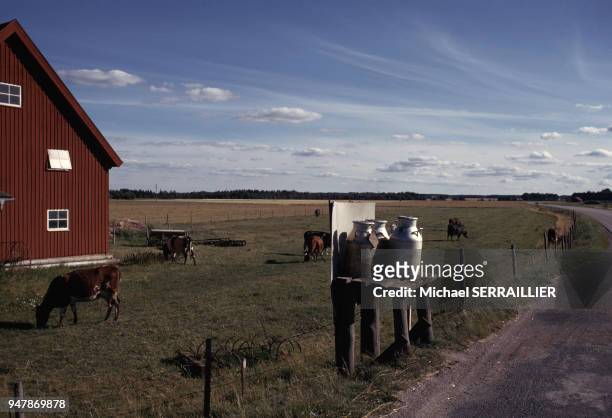 Vente de lait devant une ferme dans la province de Dalsland, en juillet 1974, Suède.
