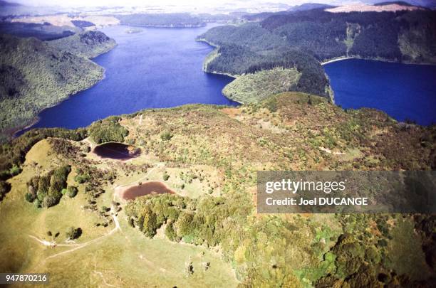 Paysage du district de Rotorua, en février 1993, Nouvelle-Zélande.