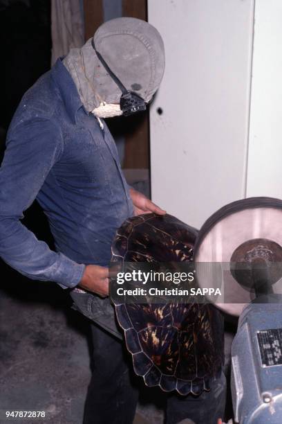 Travail des écailles de la carapace d'une tortue à la Réunion, en mars 1986.