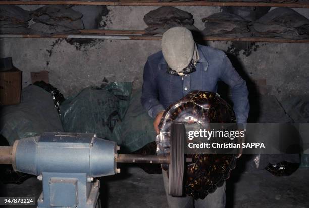 Travail des écailles de la carapace d'une tortue à la Réunion, en mars 1986.