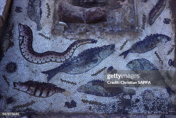 Mosaïque phénicienne à Utique, en Tunisie, en avril 1988.