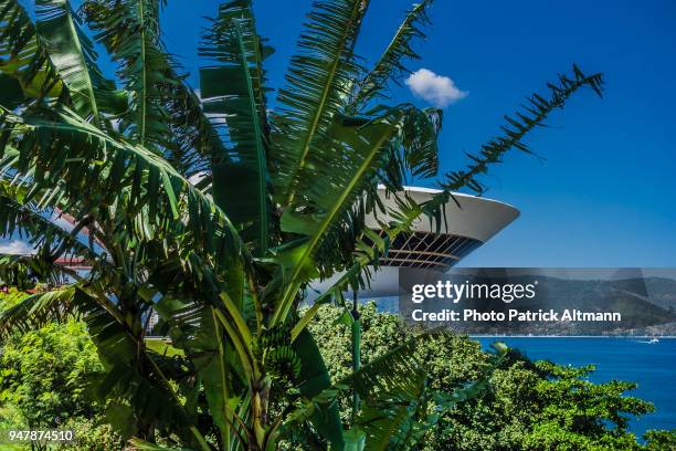 banana tree in front of the museum of contemporary art rounded building in the city of niterói located across the bay of rio de janeiro, brazil - the niteroi contemporary art museum stock pictures, royalty-free photos & images