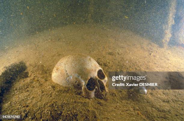 Crâne d'un soldat japonais découvert sous l'eau lors d'une expédition de Jacques-Yves Cousteau dans le lagon de Chuuk, en mai 1995, Micronésie.