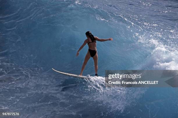 Sufeuse dans la Honolua Bay, en 1999, à Hawaï, Etats-Unis.