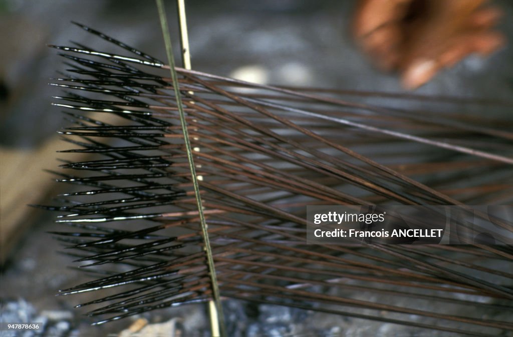 Flêches au curare d'indiens Huaorani en Equateur