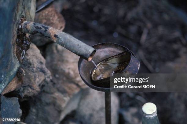 Distillerie de géranium, pour la fabrication d'huiles essentielles, à la Réunion, en décembre 1986.