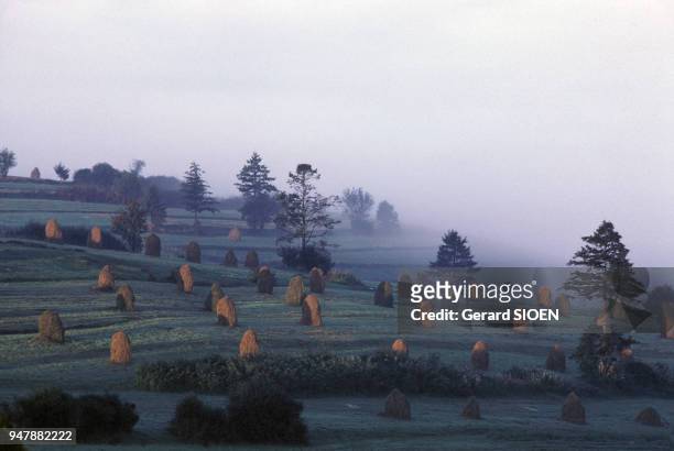 Bottes de foin dans un champ de la région du Podhale, en septembre 1985, Pologne.