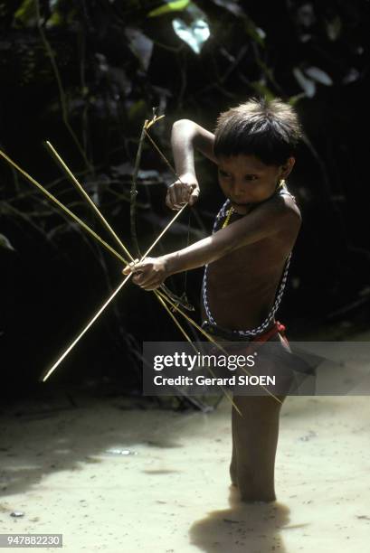 Indien Yanomami de la tribu Majecodoteri pêchant à l'arc, au Vénézuela en février 1980.