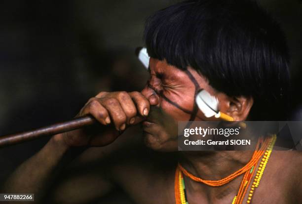 Indien Yanomami de la tribu Majecodoteri, au Vénézuela en février 1980.