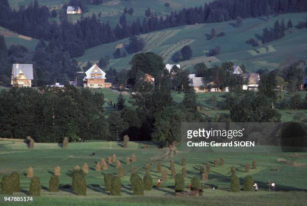 Meules de foin dans un champ près de Zakopane, en octobre 1985, Pologne.