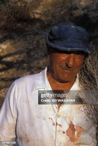 Cuisinier préparant le kleftiko d'agneau à Chypre, en 1990.