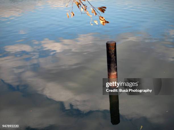scale indicating water level in a lake in berlin, germany - marcador-de-profundidade - fotografias e filmes do acervo