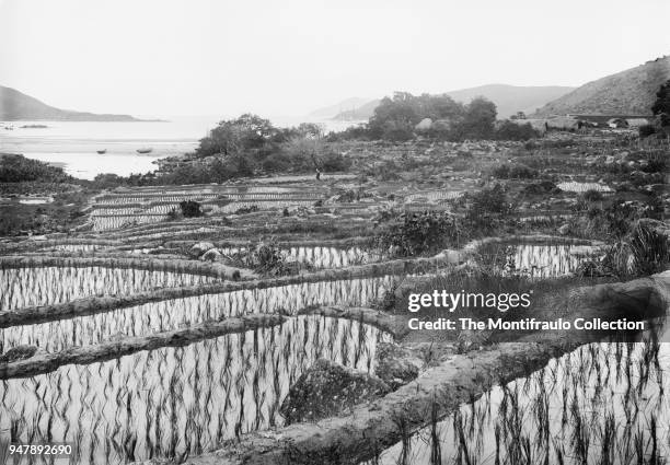 Overview of a young rice paddy field on China coast; in the background can be seen the anchored HMS Waterwitch. Built in 1878 as a private vessel...