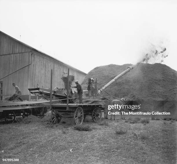 Farmhands on top of horsedrawn cart loading hay into a Mc Cormick Deering threshing machine used for the separation of grain from stalks and husks....