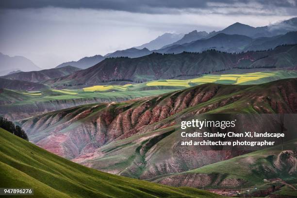 qilian mountain in qinghai - gansu province stock pictures, royalty-free photos & images