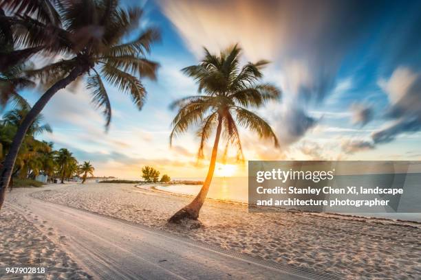 sunrise in key west - key west photos et images de collection