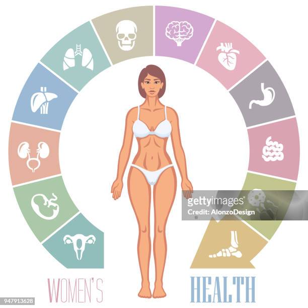 woman body and internal organs - human small intestine stock illustrations