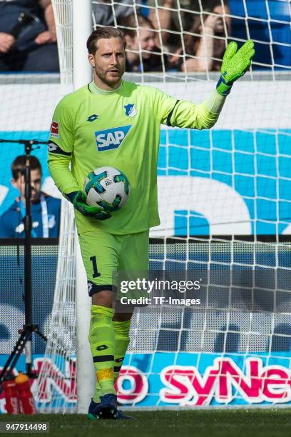 Goalkeeper Oliver Baumann of Hoffenheim controls the ball during the Bundesliga match between TSG 1899 Hoffenheim and Hamburger SV at Wirsol...