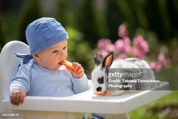 cute little baby boy, child feeding little bunny with carrots in park, outdoors - baby bunny stock pictures, royalty-free photos & images