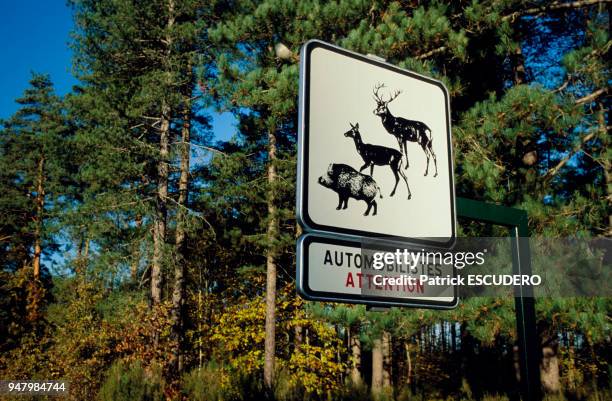 SIGNALISATION, SOLOGNE, FRANCE.