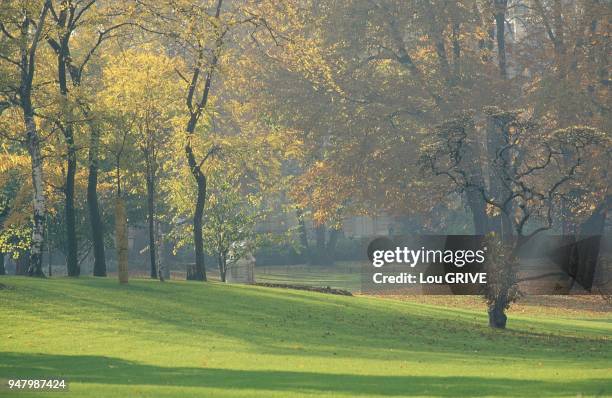 Parc Monceau en Automne, Paris, France.